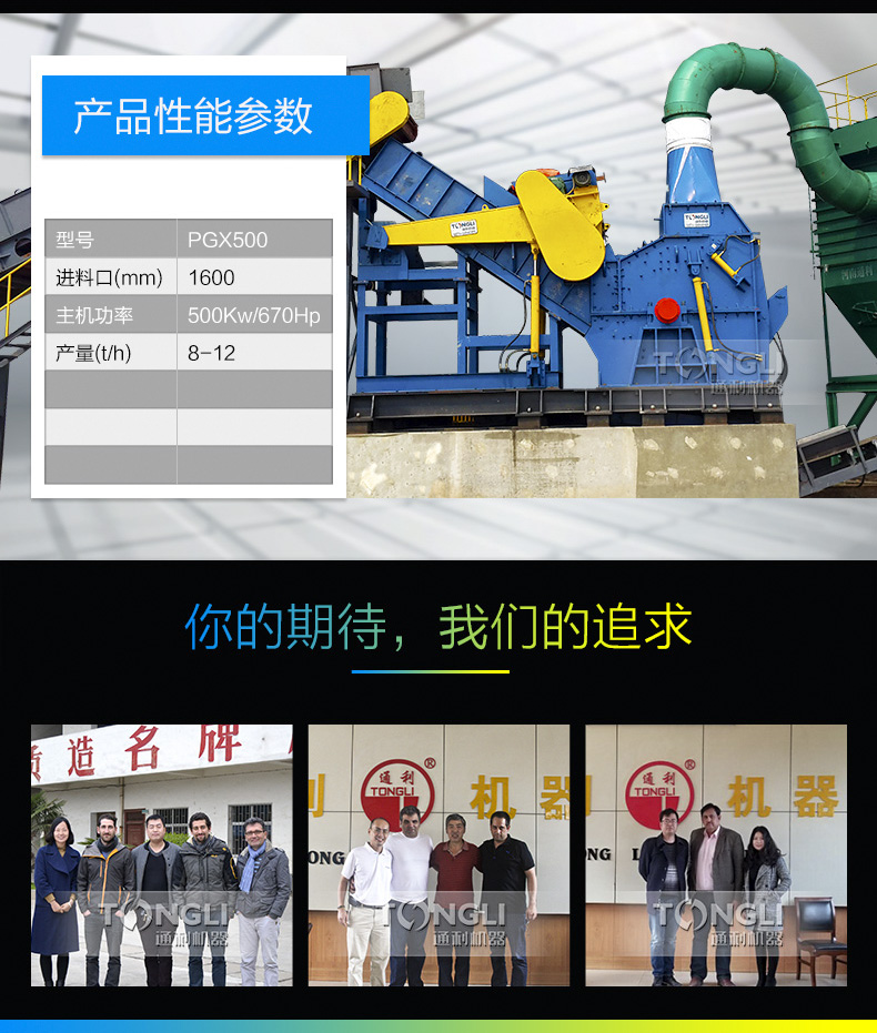 16342859621224.jpg PGX500_05.jpg